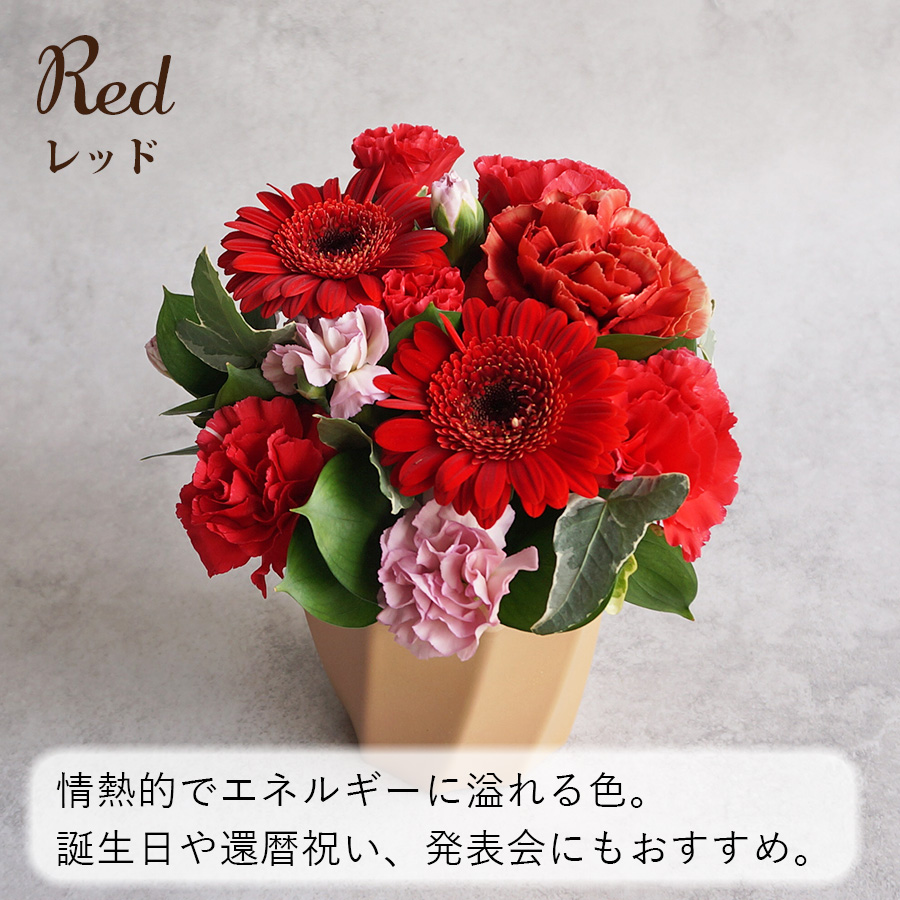 FLORAISON（フロレゾン） 父の日 生花 ミニアレンジメント シュクル