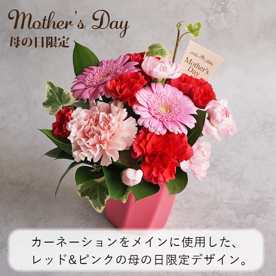 FLORAISON（フロレゾン） 父の日 生花 ミニアレンジメント シュクル