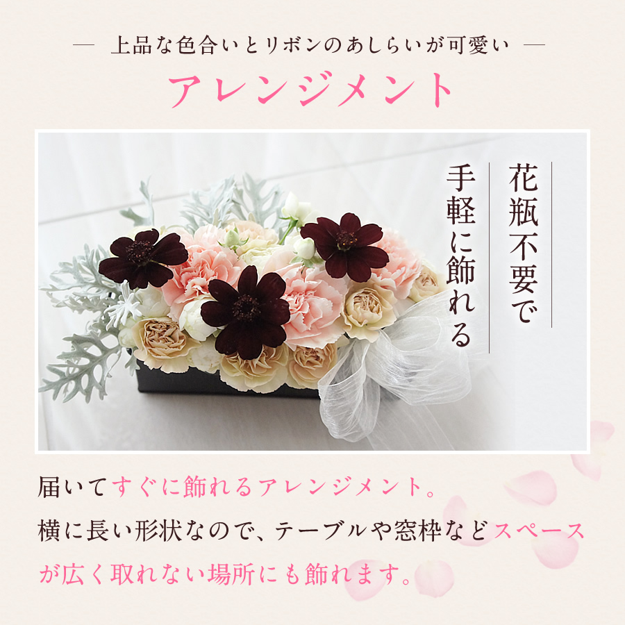 卒業 入学 コスモスの花 チョコレート コスモス アレンジ コスモス