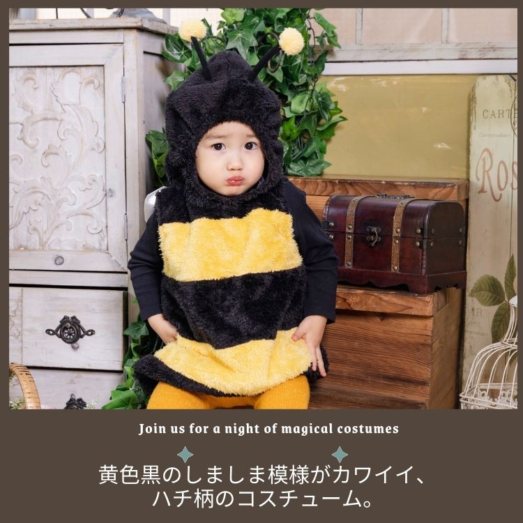 ヒス　ハチ　90 10041477_3.jpg