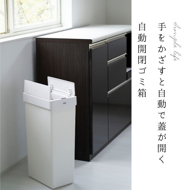 EKO（イーケーオー） ゴミ箱 30L 30リットル 自動開閉 大容量 スリム