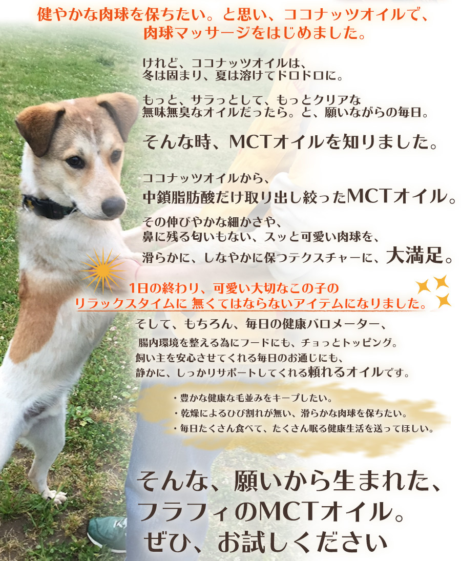 犬用 Mctオイル3本セット 60ml ペット用 有機オーガニック ココナッツオイル 栄養補給 サプリメント 抗てんかん お手入れ ボディケア Et44pfx3 ずっと元気 犬 猫のための Fluffi 通販 Yahoo ショッピング