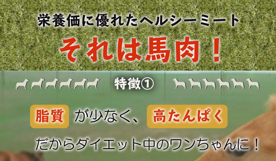 馬チップ　バリュー　カナダ産　栄養価に優れたヘルシーミート