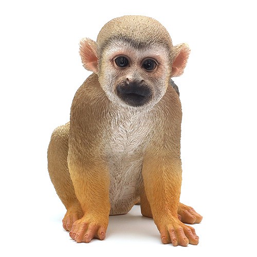 PET BANK COMMON SQUIRREL MONKEY （ペット バンク コモン