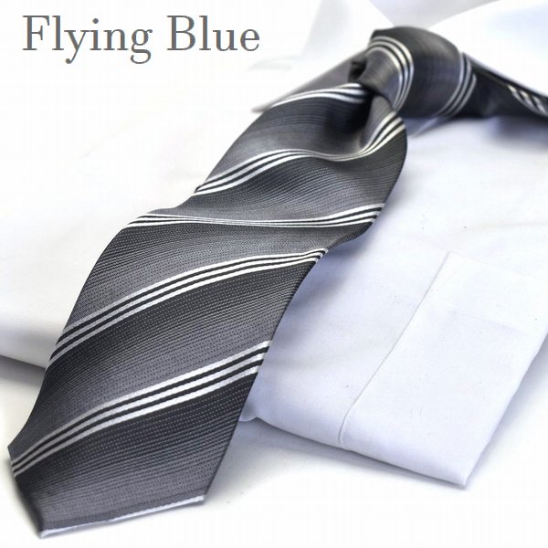 ギフト プレゼント 就活 ネクタイ 卒業式 入学式 ブランド FLYING BLUE