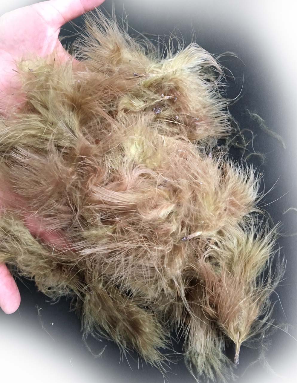 マラブー（ランプ部・7ｇ）　フライマテリアル |  | 18