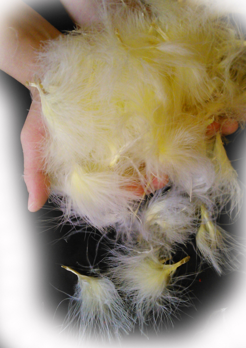 マラブー（ランプ部・7ｇ）　フライマテリアル |  | 16