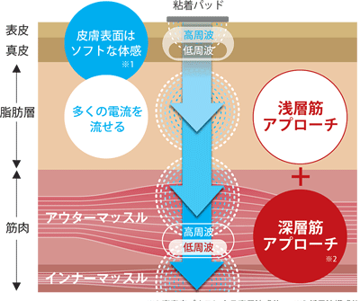 酒井医療