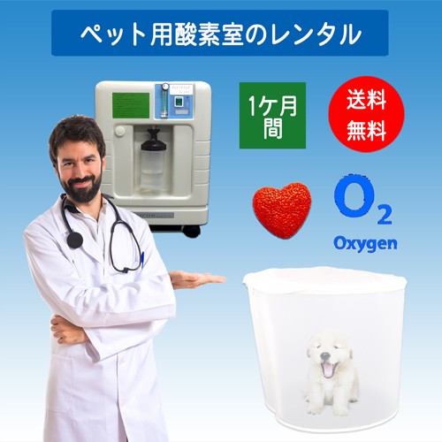 伊藤atmini