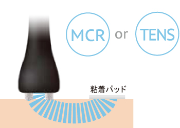酒井スティムプロ
