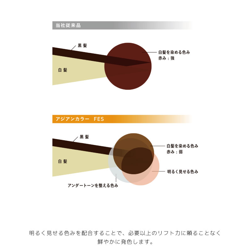アジアンカラー アリミノ フェス 6 レッド 85g 美容室専売 美容院