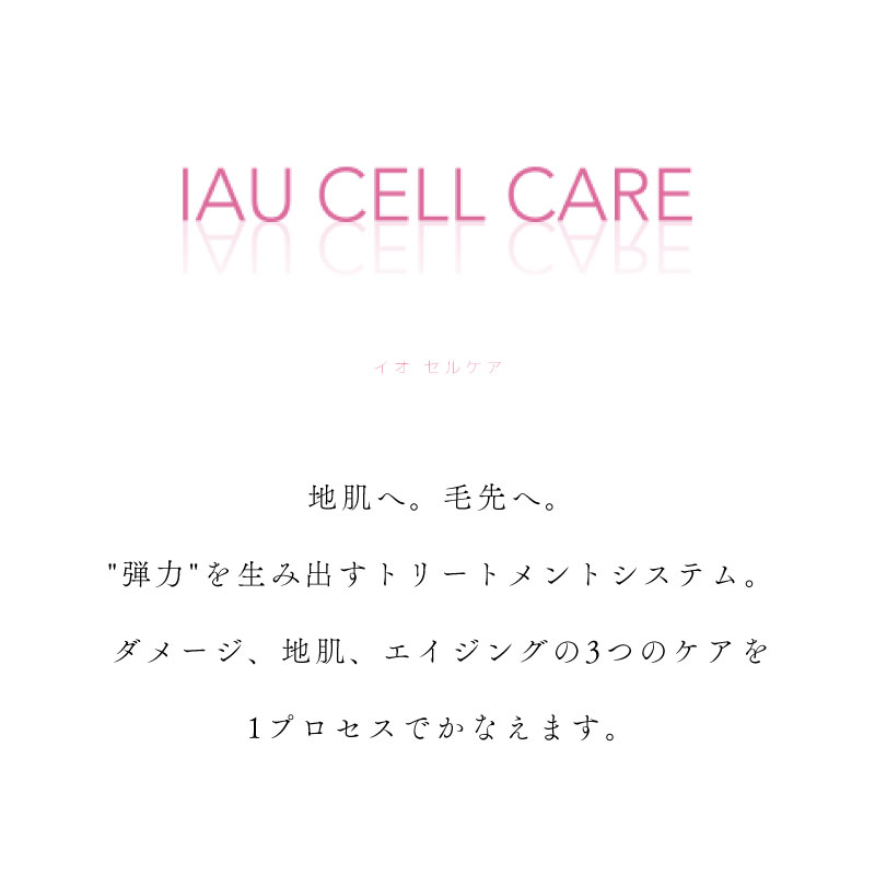 IAU（ルベル） ルベル イオ セルケア 5点セット 【シルキー