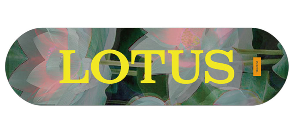 Curver 在庫限り スケートボード デッキカバー LONG 36インチまで対応