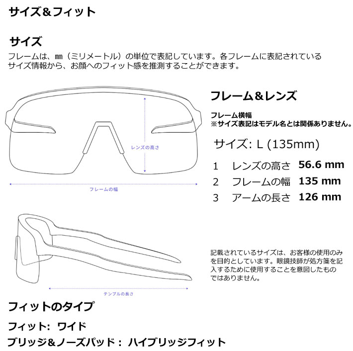 OAKLEY（オークリー） 廃版モデル 廃番モデル サングラス LATCH PANEL