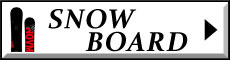 [早期予約] 23-24 SG SNOWBOARDS FULL RACE TITAN エスジースノーボード 163cm フルレース アルフレックスインサート アルペンボード メタルボード 2023 2024 板