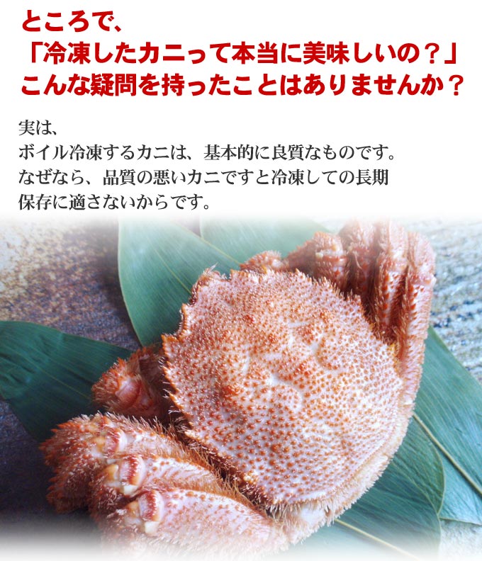 ボイル毛蟹400〜450g 中4尾　北海道産　送料込み 北海道産】 ボイル毛ガニ 450g x 2 – Oritz Shop