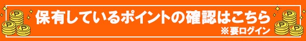 保有ポイント確認