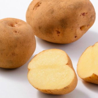 男爵の兄弟种で,形は男爵に似ています.