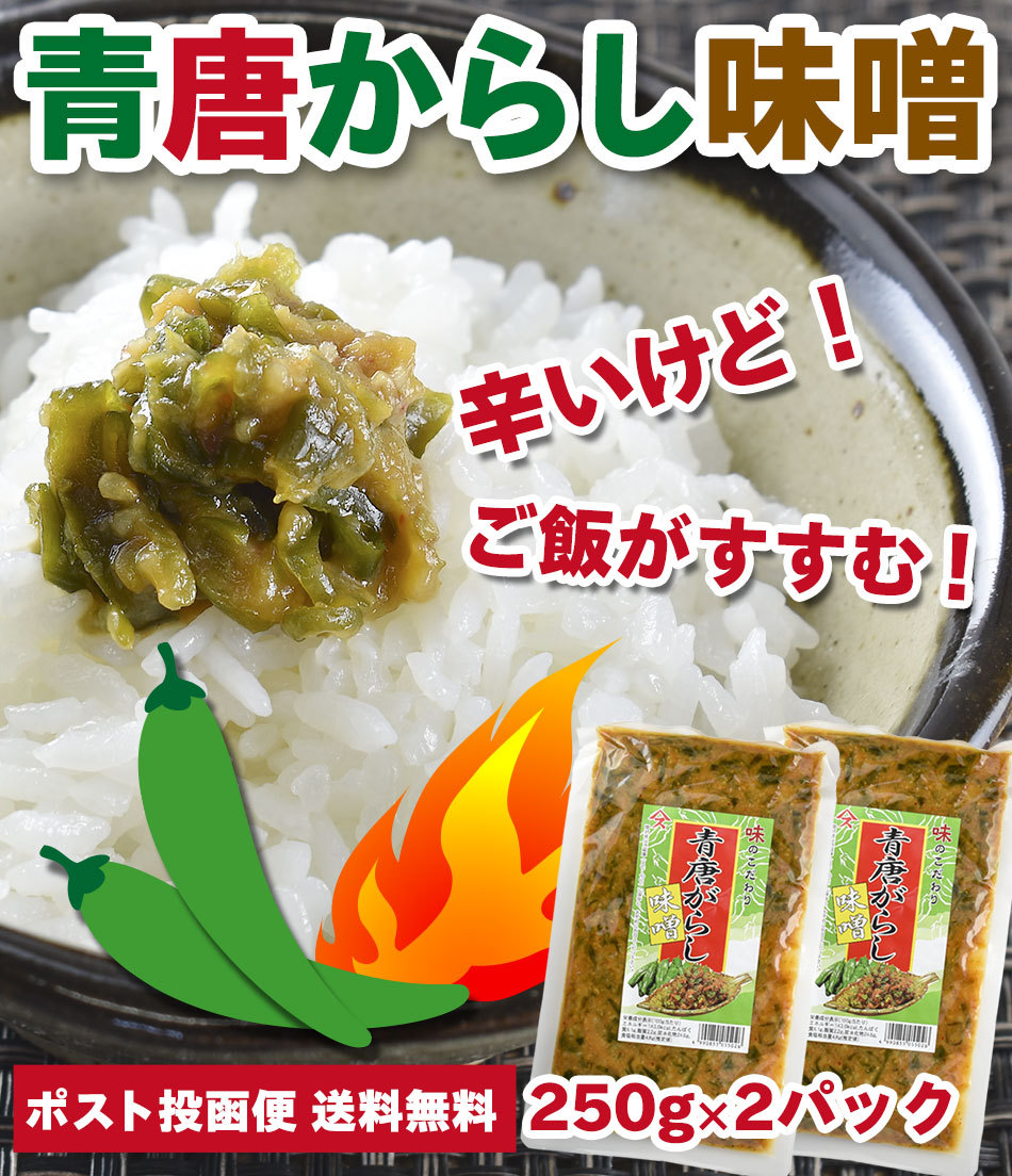 ご飯のお供 青唐辛子みそ 250g×2パック 青唐がらし味噌 おかず味噌