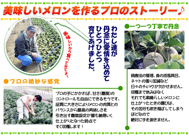 美味しいメロンを作るプロのストーリー