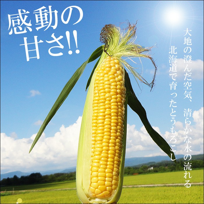 ２２５０円！朝採れ発送！生でも食べられる「ゴールドラッシュ」ハネ出しクール便対応 2250円！ハネ出し朝採れ発送！生でも食べられる「ゴールド