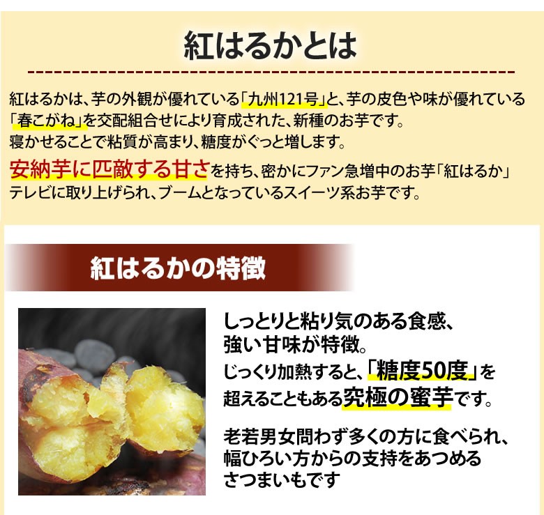 さつまいも 紅はるか 訳あり 10kg 箱込（内容量9kg＋補償分500g) 送料無料 無選別 べにはるか 熊本県産 サツマイモ 紅蜜芋 芋 いも