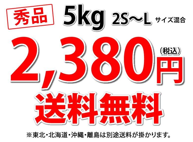 2,380円 送料無料