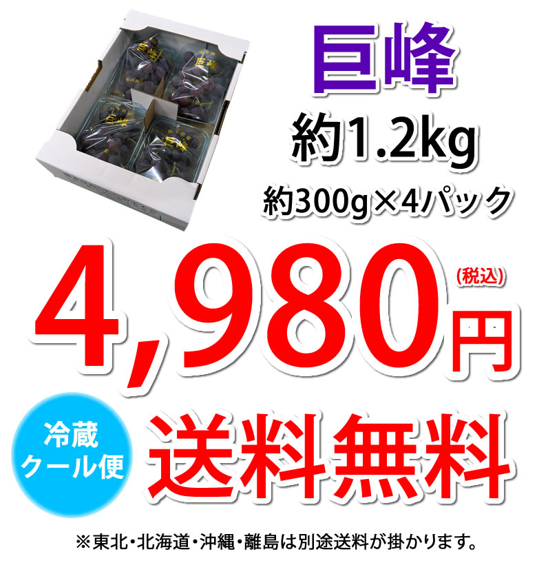 4,980円