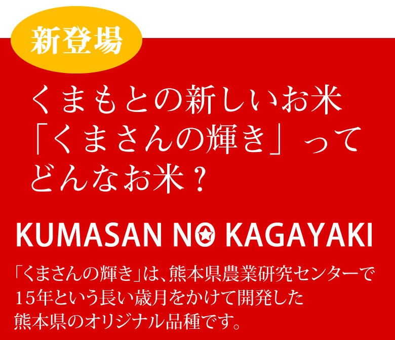 くまさんの輝き 無洗米 送料無料 計900g（300g×3袋） お試し 令