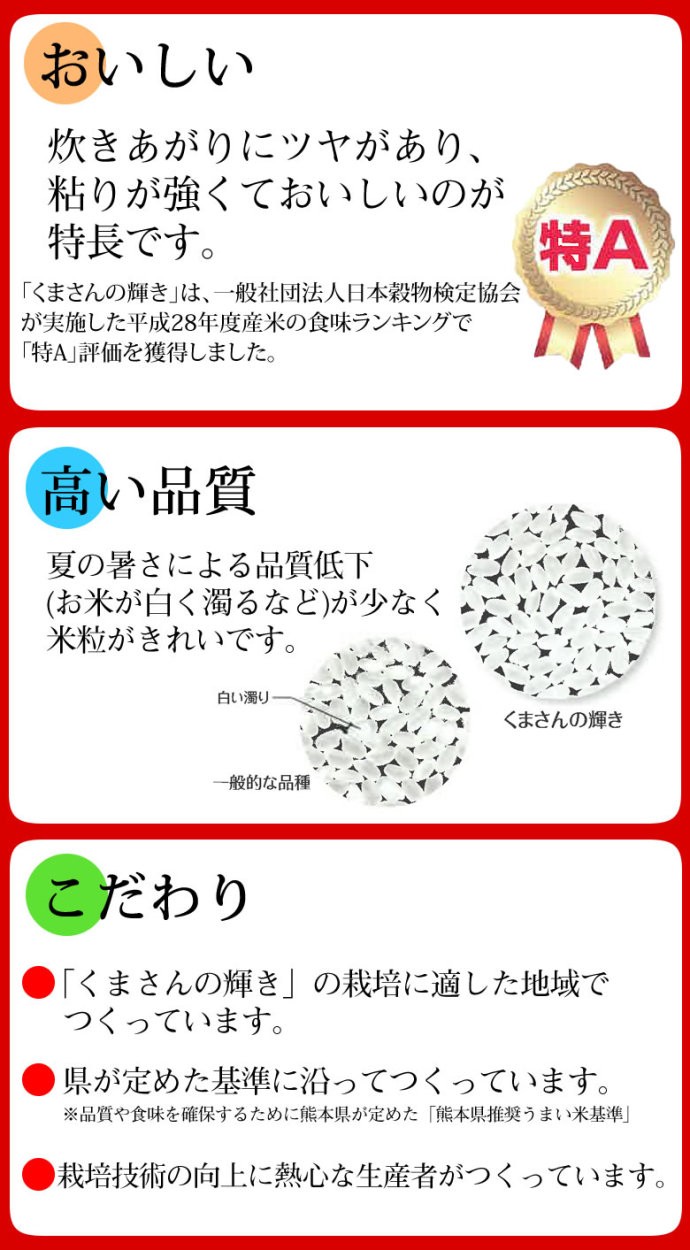 くまさんの輝き 無洗米 送料無料 計900g(300g×3袋) お試し 令 くまさんの輝き 無洗米 送料無料 計900g(300g×3袋) お試し 令