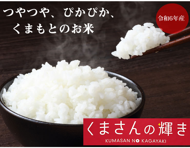 くまさんの輝き 無洗米 送料無料 計900g（300g×3袋） お試し 令
