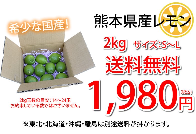 レモン 国産レモン 送料無料 2kg S〜L 3箱購入で1箱おまけ 熊本県産 減農薬 防腐剤ワックス不使用 れもん グリーンレモン 国産