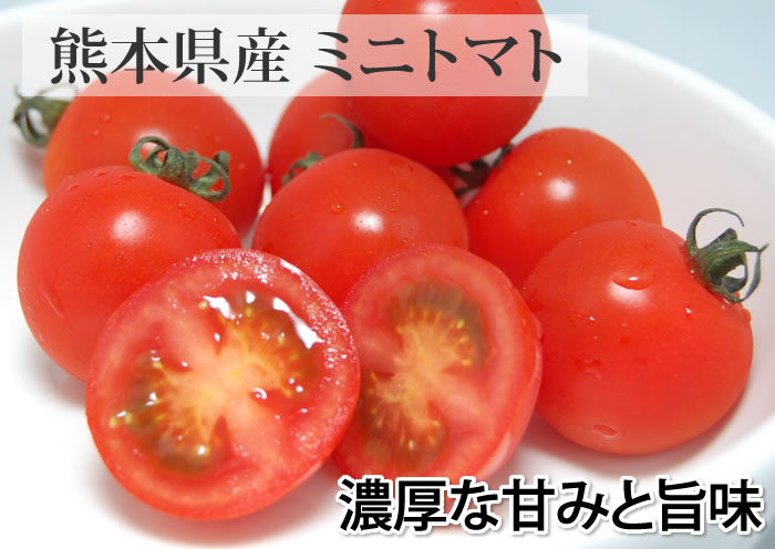 m_tomato01.jpg