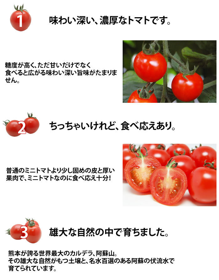 ミニトマト トマト 訳あり 送料無料 1kg 2箱購入で1箱おまけ 熊本県産