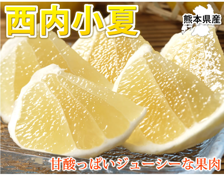 男の子向けプレゼント集結 西内小夏 日向夏 秀品 5kg みかん 送料無料 S〜2L 熊本県産 小夏 果樹