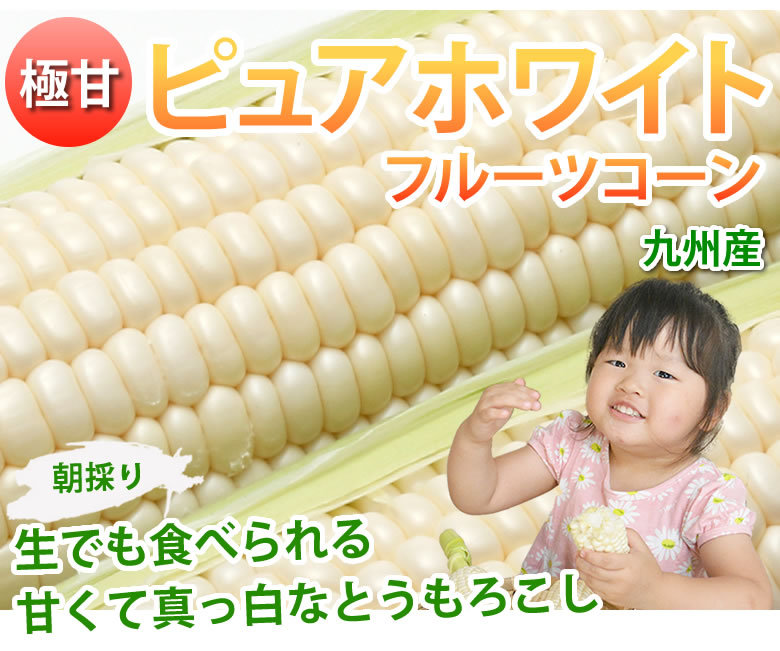 極甘！白いとうもろこし10本入3箱 アイスクリームコーン 白いトウモロコシ ホワイトコーン 3kg（5