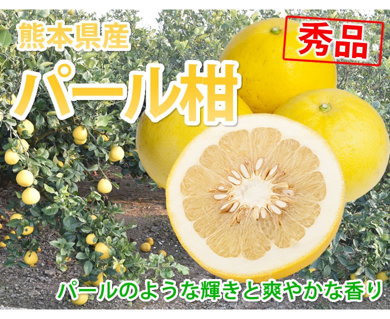 パール柑 熊本産 訳あり 20kg ［10kg×2箱］ 送料無料 九州 熊本