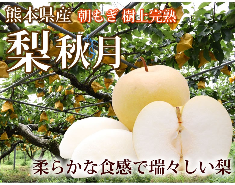 梨 秋月