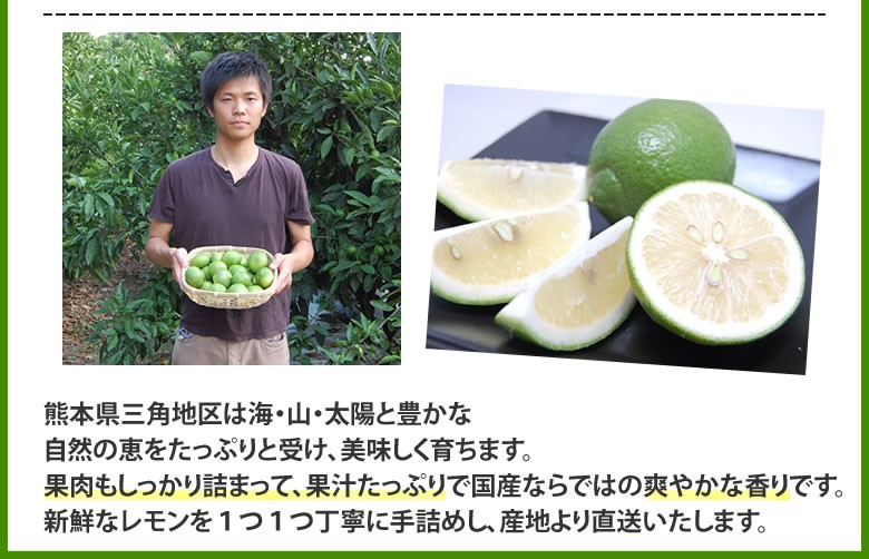 レモン 国産レモン 送料無料 2kg S〜L 3箱購入で1箱おまけ 熊本県産 減農薬 防腐剤ワックス不使用 れもん グリーンレモン 国産