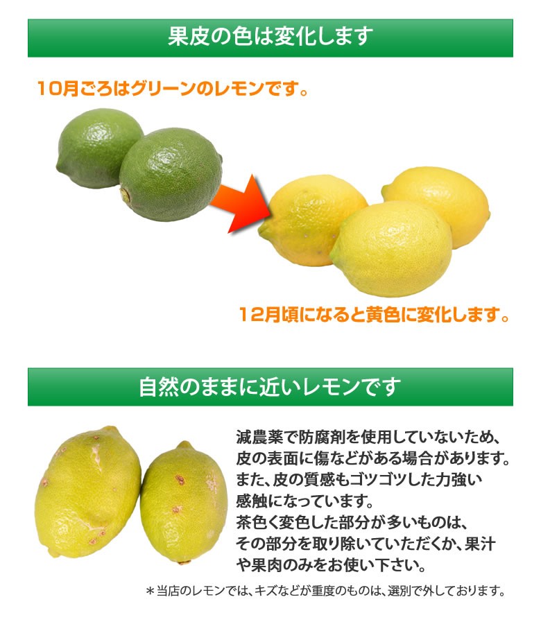 レモン 国産レモン 送料無料 2kg S〜L 3箱購入で1箱おまけ 熊本県産 減農薬 防腐剤ワックス不使用 れもん グリーンレモン 国産