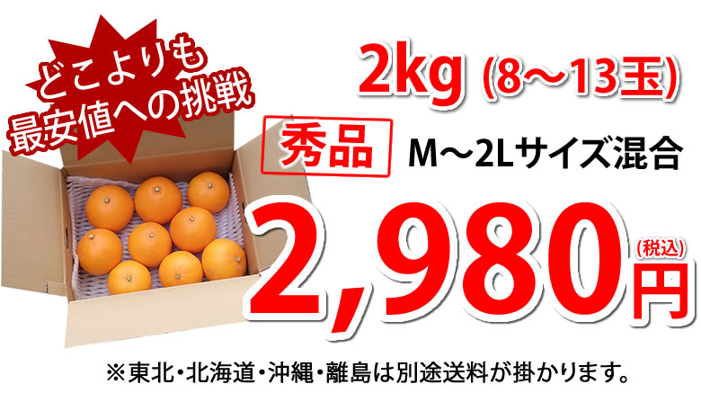 熊本県産　ハウス栽培せとか　11キロ s.ssサイズ せとか 送料無料 希少品種 柑橘の女王 ハウス栽培 熊本県産 秀品