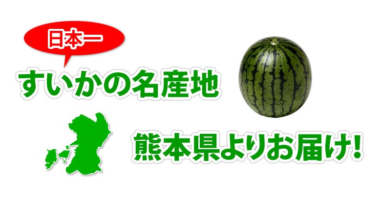 すいか 送料無料 スイカ 熊本すいか 秀品 1玉（約3.5kg〜5kg