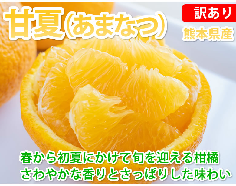 みかん 甘夏 訳あり 10kg 箱込 (内容量9kg+補償500g) 送料無料 サイズ