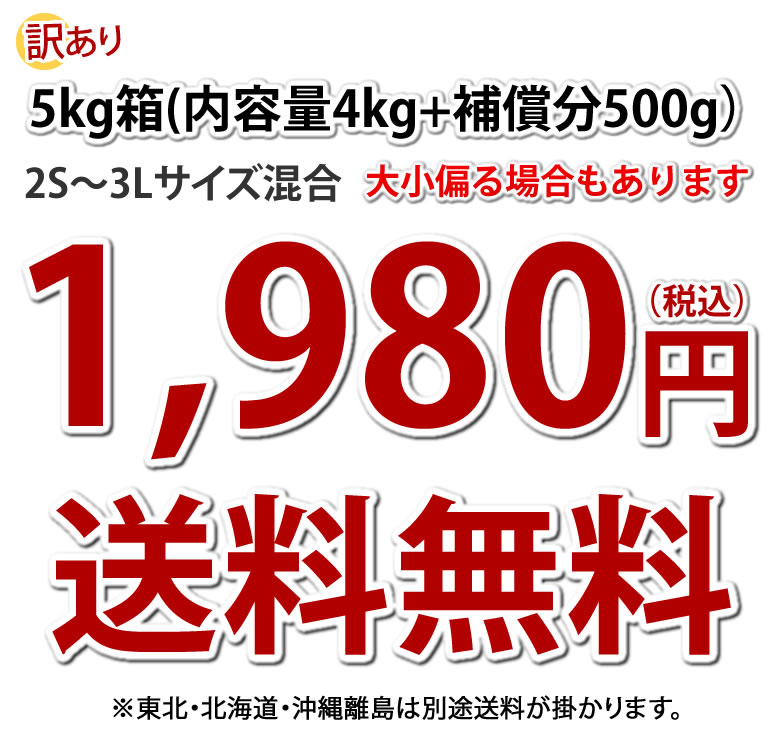 さつまいも 紅はるか 訳あり 5kg 箱込（内容量4kg＋補償分500g) 送料無料 べにはるか 熊本県産 サツマイモ 紅蜜芋 芋 いも  :y-w-beni5kg:Foody's - 通販 - Yahoo!ショッピング