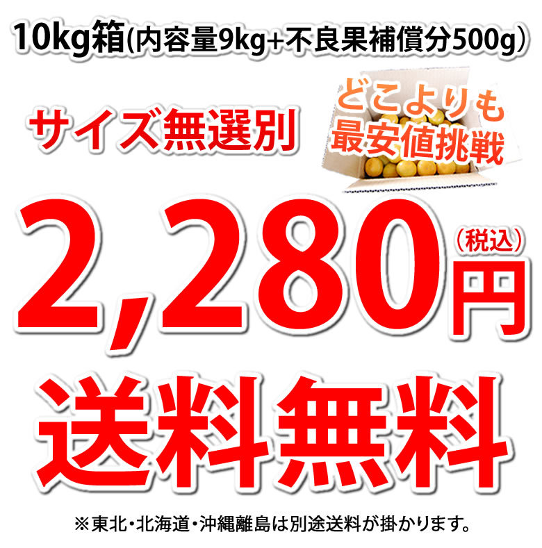 2,280円送料無料