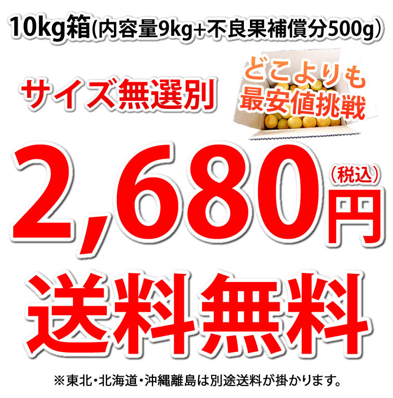 2,680円送料無料