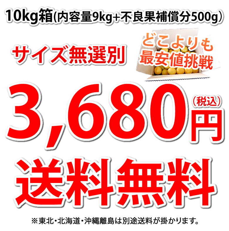 3,680円送料無料