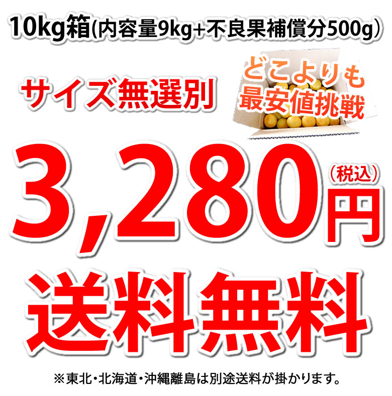 3,280円送料無料