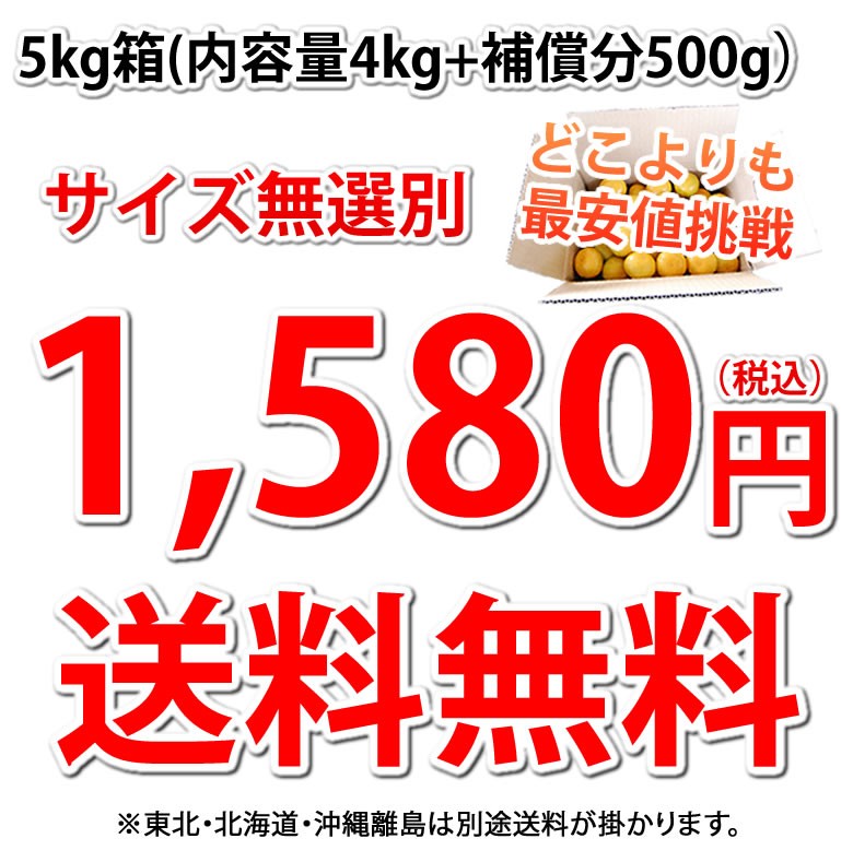 1,580円送料無料