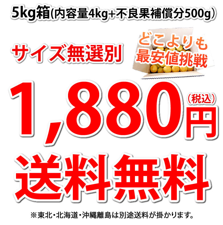 1,880円送料無料